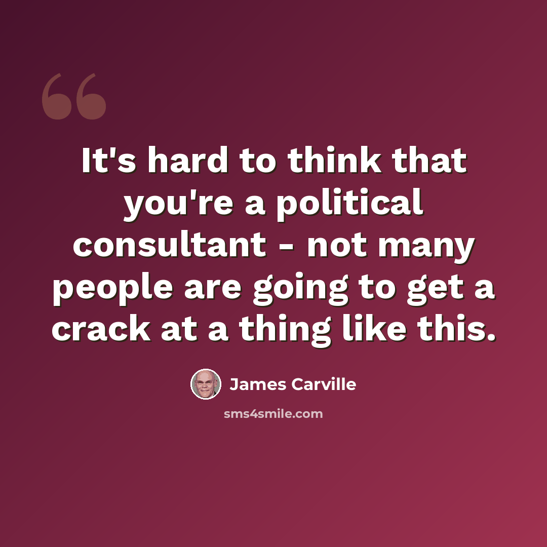 “It's hard to think that you're a political consultant - not many people are going to get a crack at a thing like this.” quote by James Carville