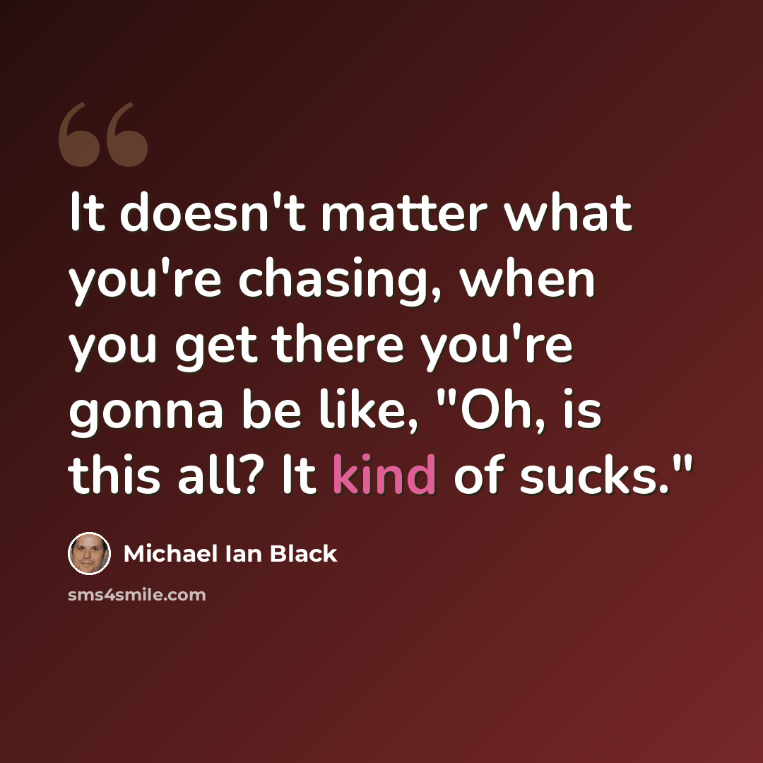 “It doesn't matter what you're chasing, when you get there you're gonna be like, "Oh, is this all? It kind of sucks."” quote by Michael Ian Black
