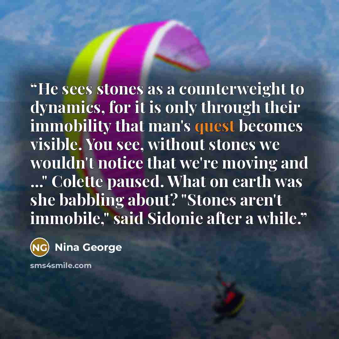 “He sees stones as a counterweight to dynamics, for it is only through their immobility that man's quest becomes visible. You see, without stones we wouldn't notice that we're moving and ..." Colette paused. What on earth was she babbling about? "Stones aren't immobile," said Sidonie after a while.” quote by Nina George