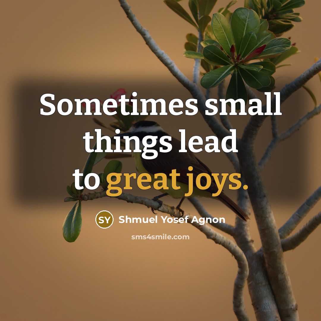 “Sometimes small things lead to great joys.” quote by Shmuel Yosef Agnon