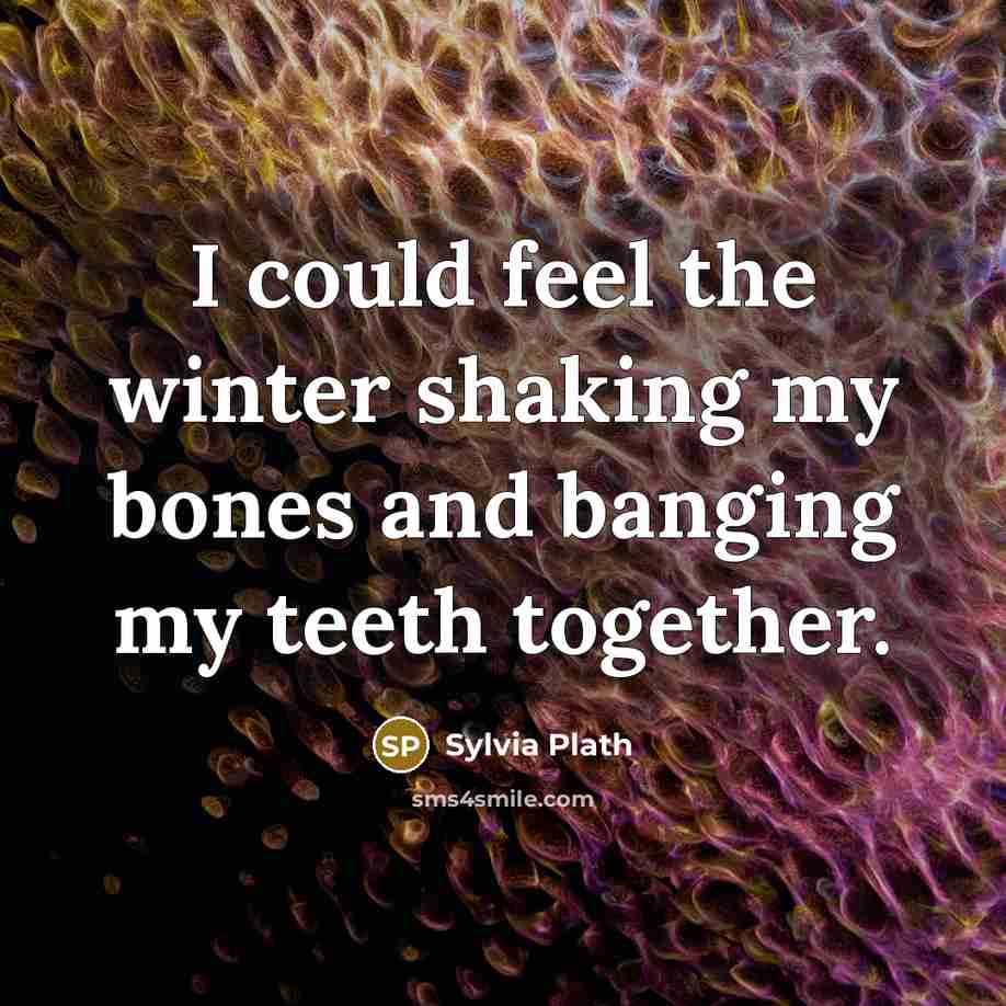 “I could feel the winter shaking my bones and banging my teeth together.” quote by Sylvia Plath
