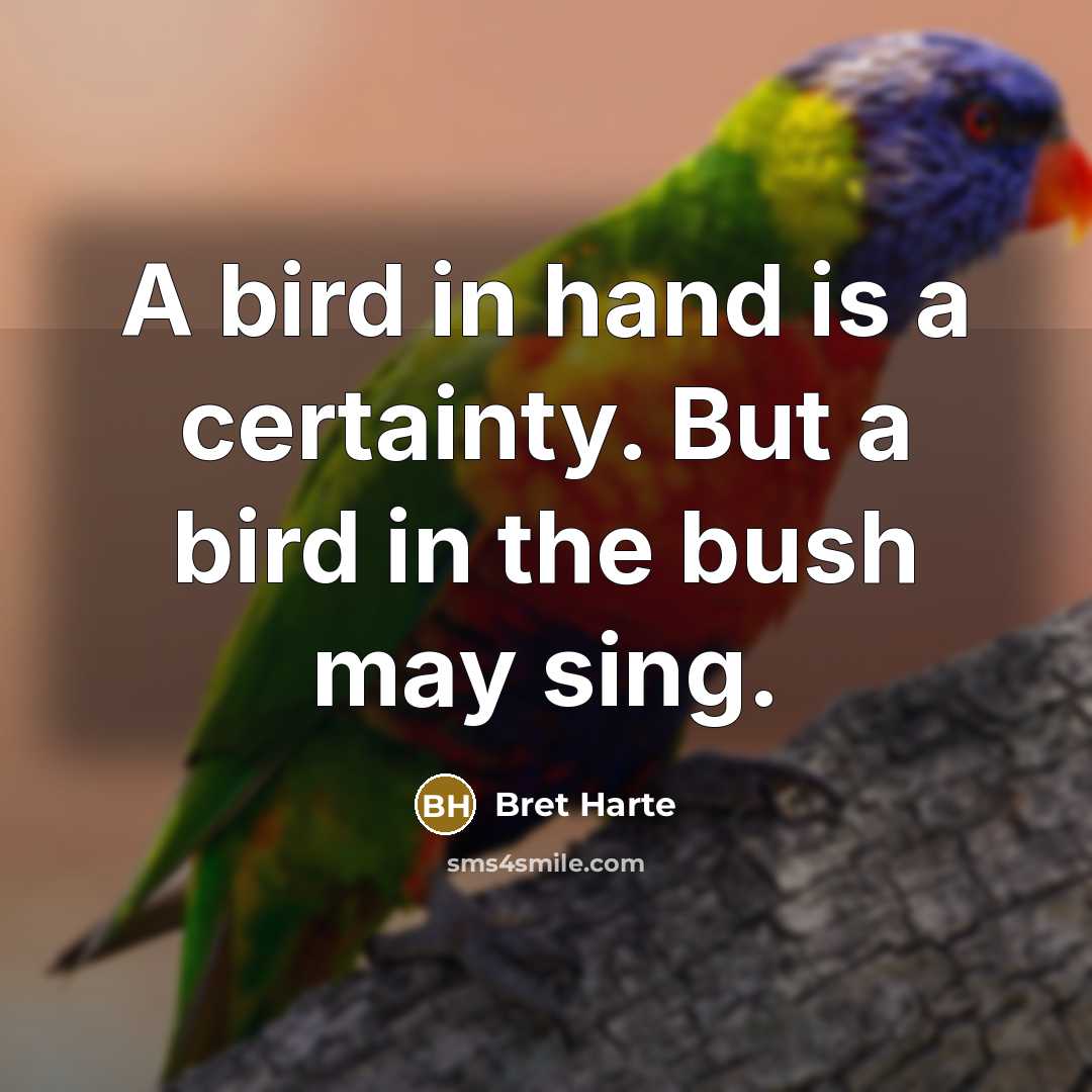 “A bird in hand is a certainty. But a bird in the bush may sing.” quote by Bret Harte