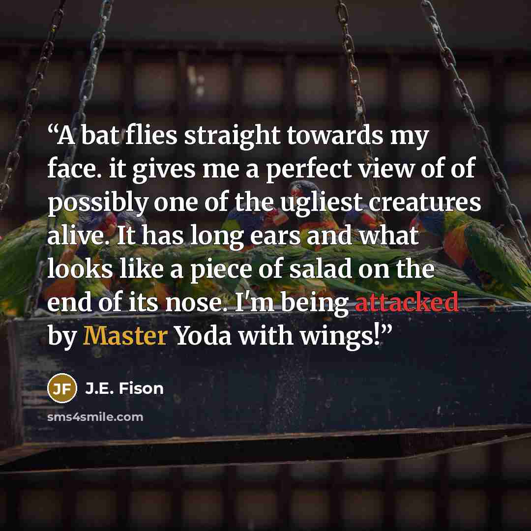 “A bat flies straight towards my face. it gives me a perfect view of of possibly one of the ugliest creatures alive. It has long ears and what looks like a piece of salad on the end of its nose. I'm being attacked by Master Yoda with wings!” quote by J.E. Fison