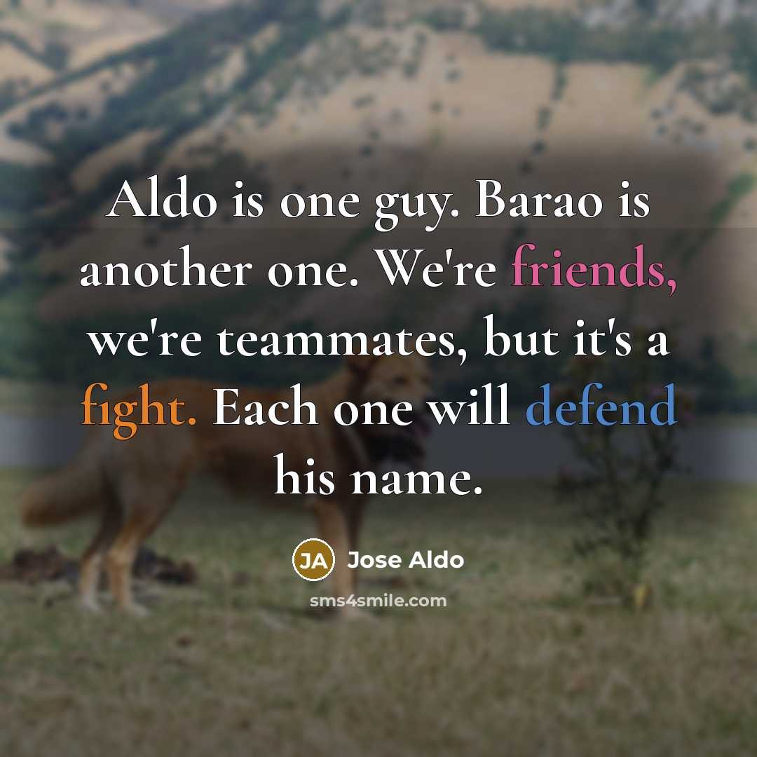 “Aldo is one guy. Barao is another one. We're friends, we're teammates, but it's a fight. Each one will defend his name.” quote by Jose Aldo