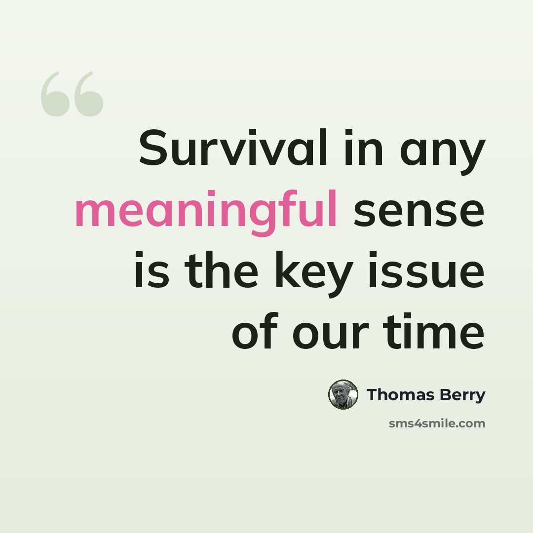 “Survival in any meaningful sense is the key issue of our time” quote by Thomas Berry
