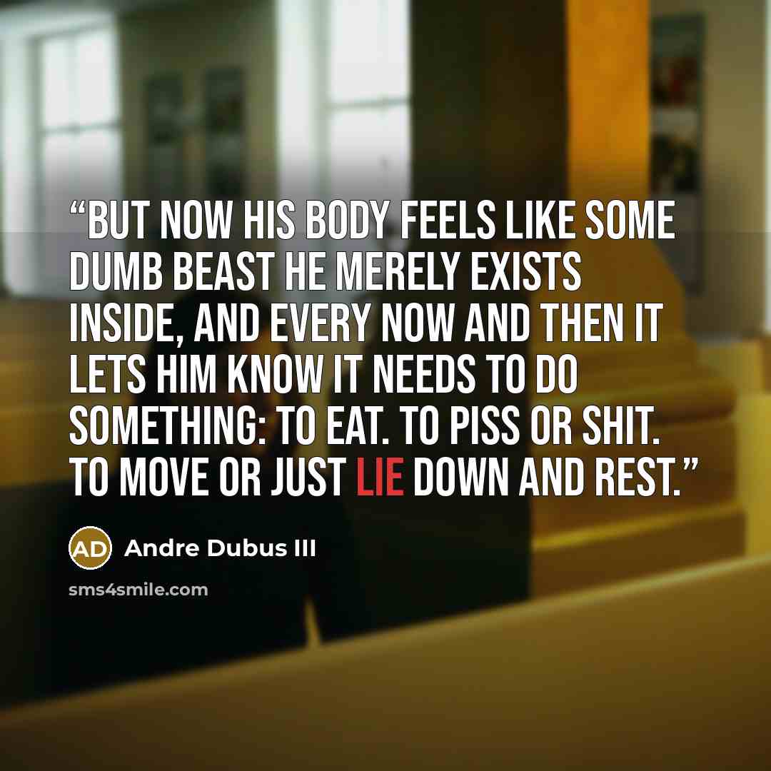 “But now his body feels like some dumb beast he merely exists inside, and every now and then it lets him know it needs to do something: To eat. To piss or shit. To move or just lie down and rest.” quote by Andre Dubus III