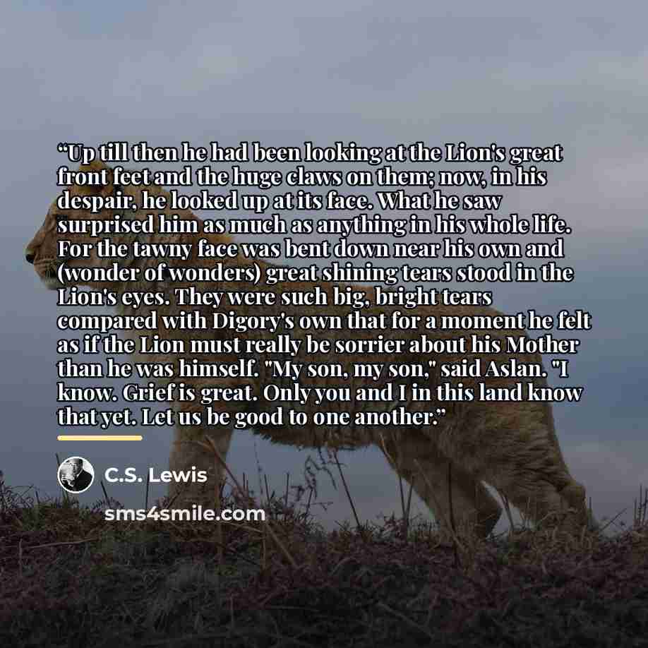 “Up till then he had been looking at the Lion's great front feet and the huge claws on them; now, in his despair, he looked up at its face. What he saw surprised him as much as anything in his whole life. For the tawny face was bent down near his own and (wonder of wonders) great shining tears…” quote by C.S. Lewis