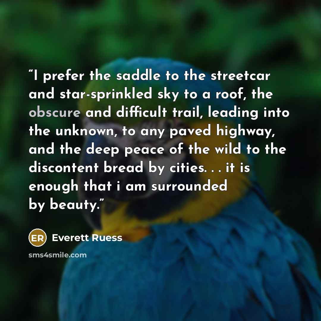 “I prefer the saddle to the streetcar and star-sprinkled sky to a roof, the obscure and difficult trail, leading into the unknown, to any paved highway, and the deep peace of the wild to the discontent bread by cities. . . it is enough that i am surrounded by beauty.” quote by Everett Ruess