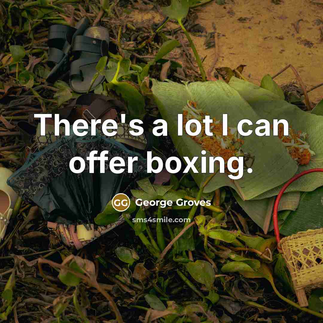 “There's a lot I can offer boxing.” quote by George Groves