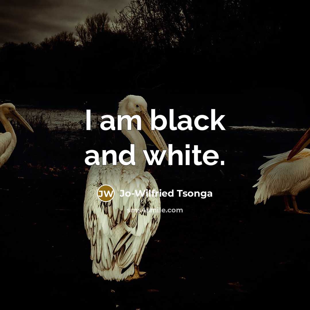 “I am black and white.” quote by Jo-Wilfried Tsonga