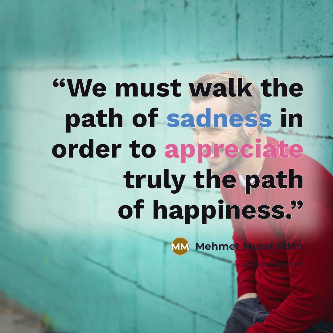 “We must walk the path of sadness in order to appreciate truly the path of happiness.” quote by Mehmet Murat ildan