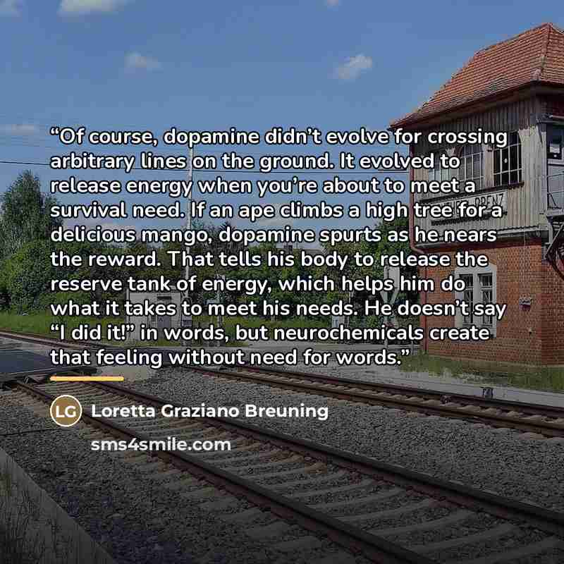“Of course, dopamine didn’t evolve for crossing arbitrary lines on the ground. It evolved to release energy when you’re about to meet a survival need. If an ape climbs a high tree for a delicious mango, dopamine spurts as he nears the reward. That tells his body to release the reserve tank of…” quote by Loretta Graziano Breuning