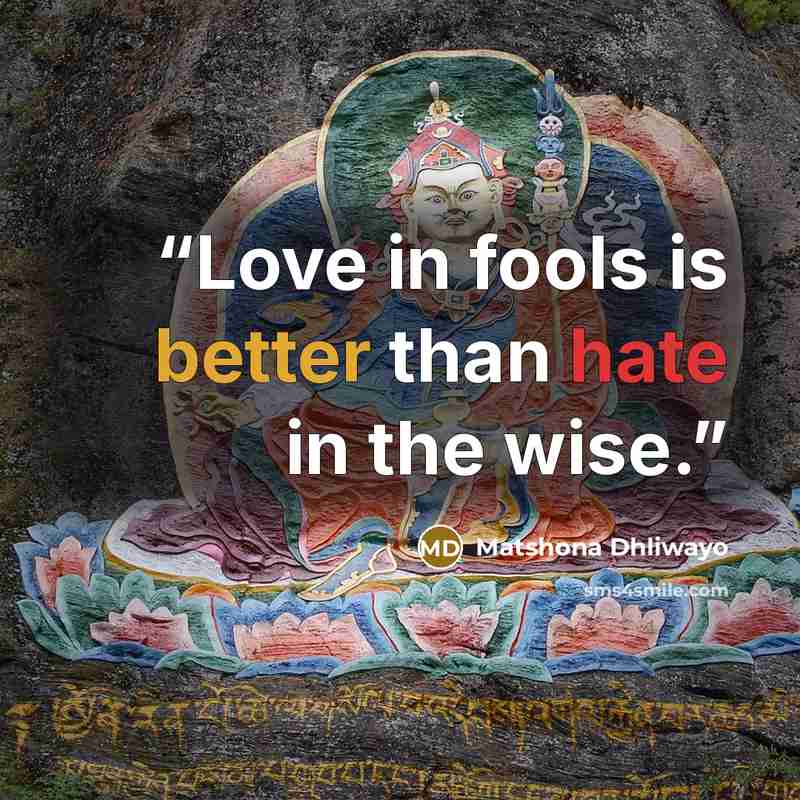 “Love in fools is better than hate in the wise.” quote by Matshona Dhliwayo
