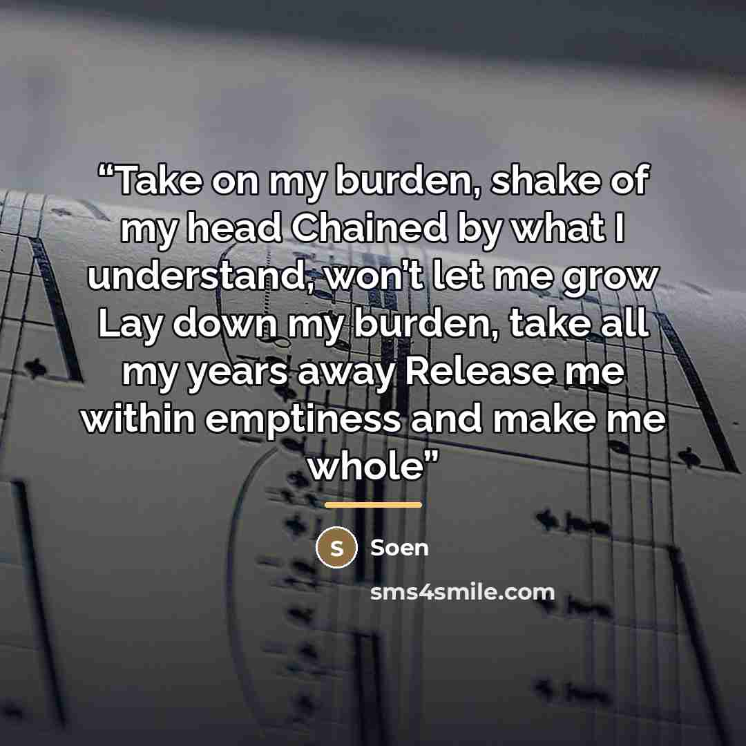 “Take on my burden, shake of my head Chained by what I understand, won’t let me grow Lay down my burden, take all my years away Release me within emptiness and make me whole” quote by Soen