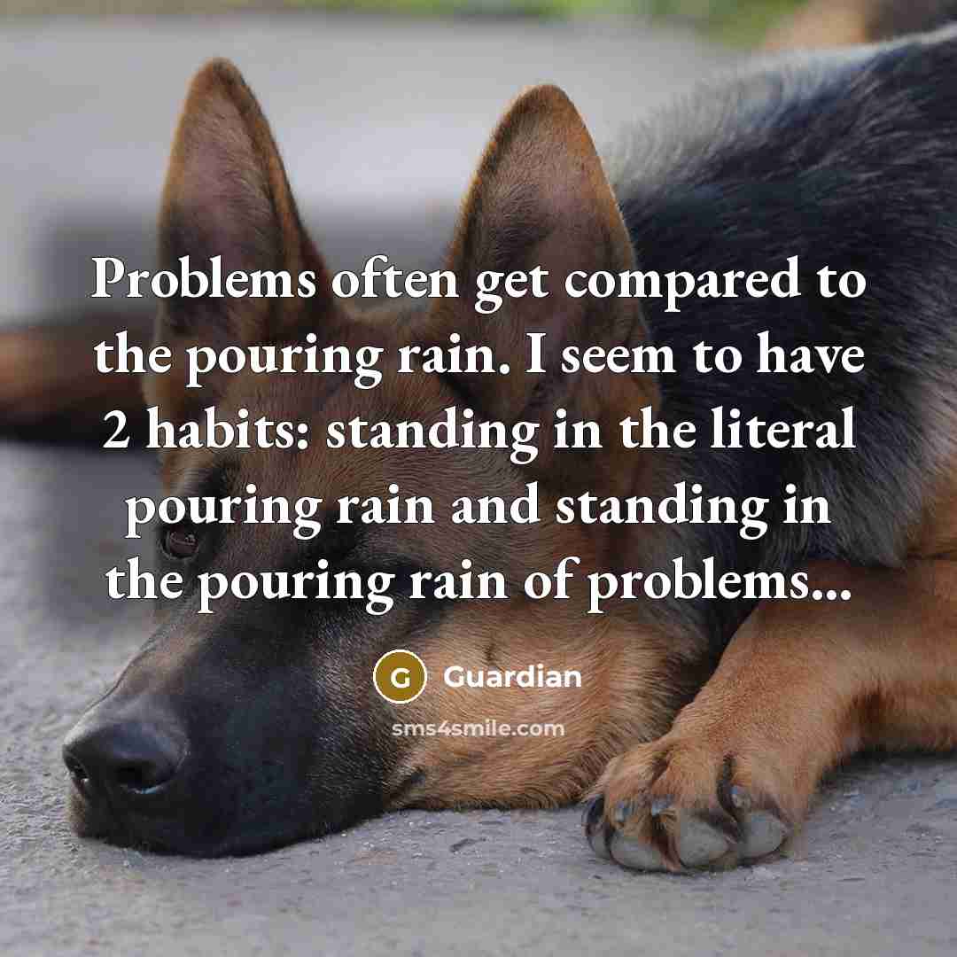 “Problems often get compared to the pouring rain. I seem to have 2 habits: standing in the literal pouring rain and standing in the pouring rain of problems...” quote by Guardian
