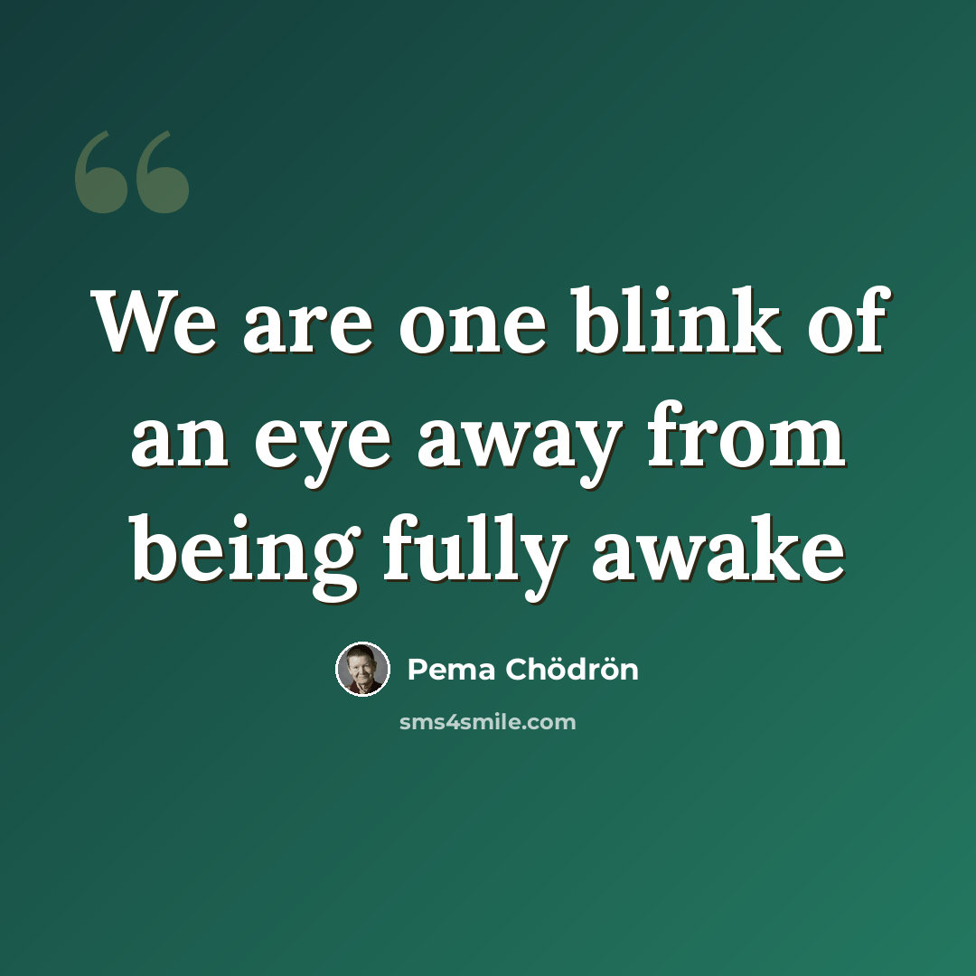 “We are one blink of an eye away from being fully awake” quote by Pema Chodron