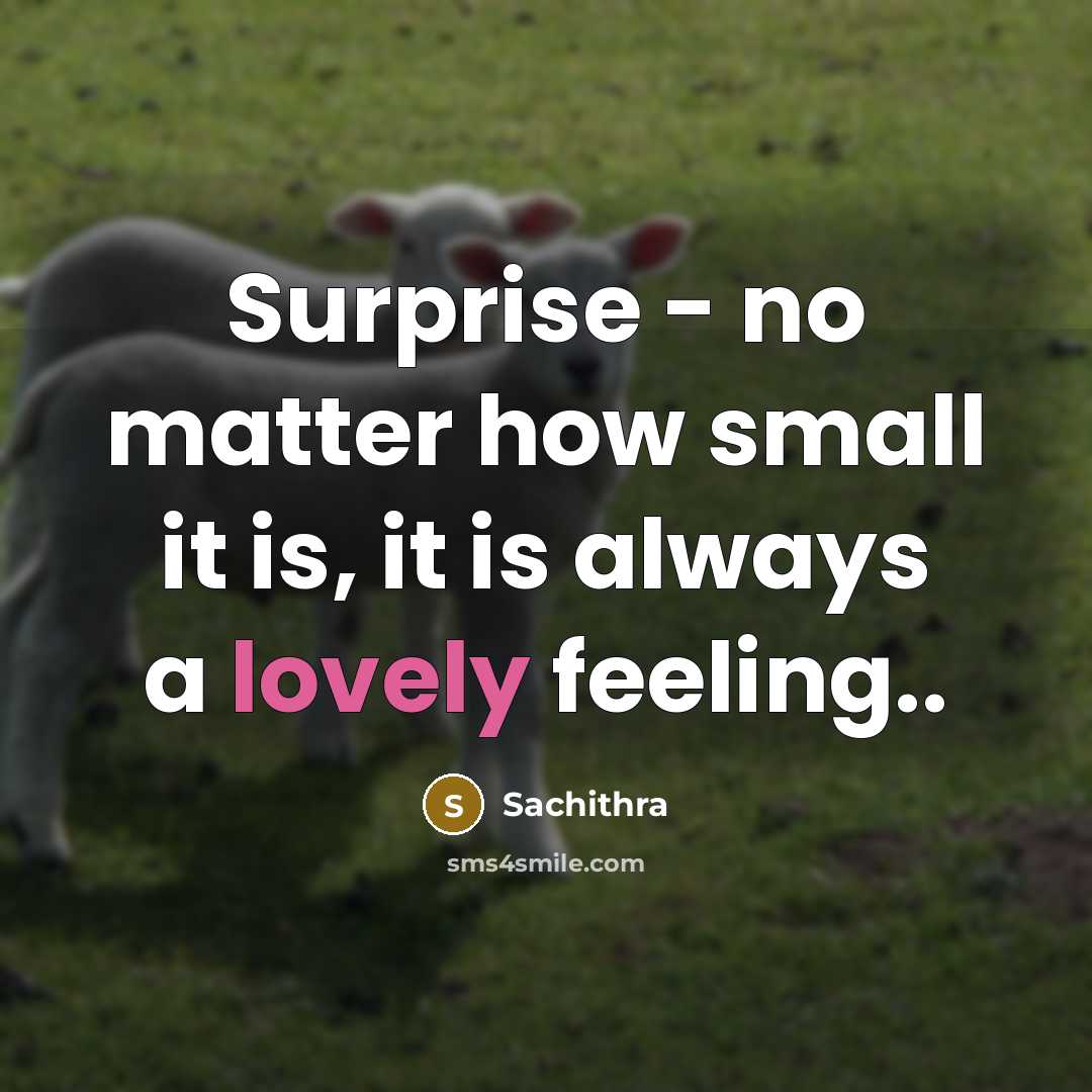 “Surprise - no matter how small it is, it is always a lovely feeling..” quote by Sachithra