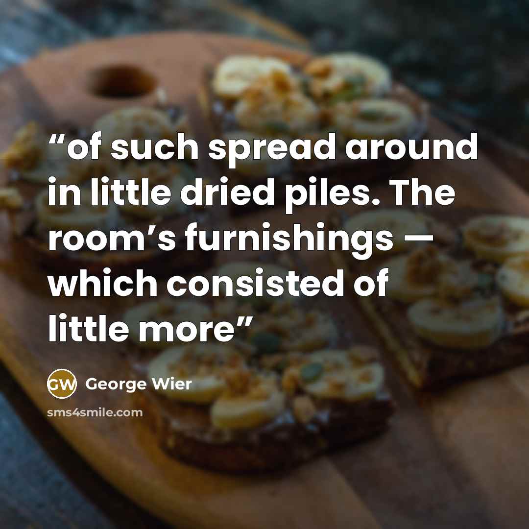 “of such spread around in little dried piles. The room’s furnishings — which consisted of little more” quote by George Wier