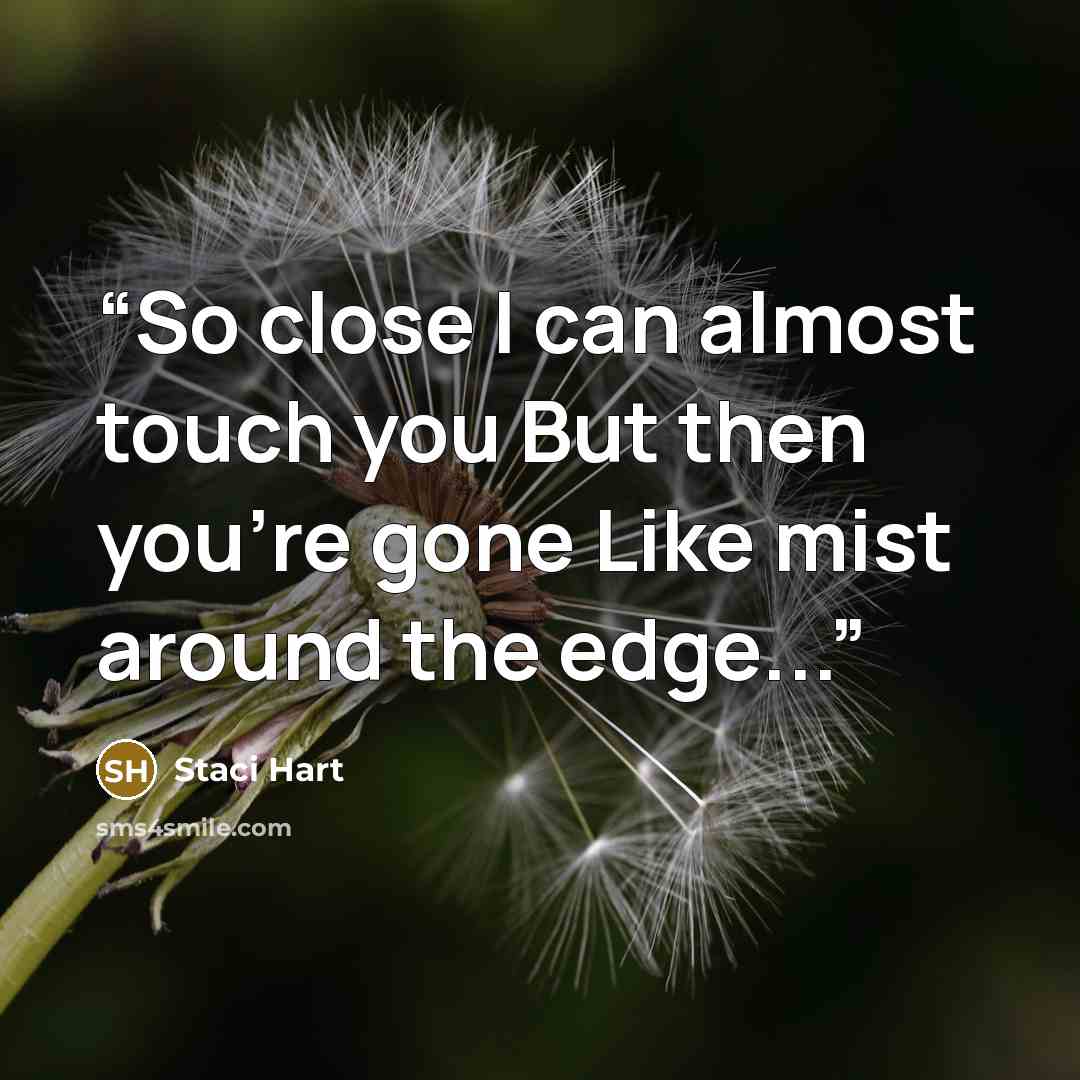 “So close I can almost touch you But then you're gone Like mist around the edge...” quote by Staci Hart