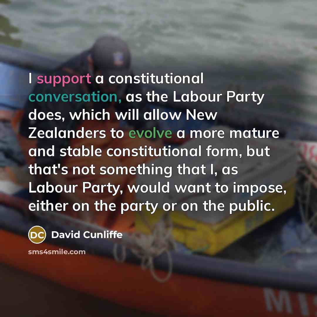 “I support a constitutional conversation, as the Labour Party does, which will allow New Zealanders to evolve a more mature and stable constitutional form, but that's not something that I, as Labour Party, would want to impose, either on the party or on the public.” quote by David Cunliffe