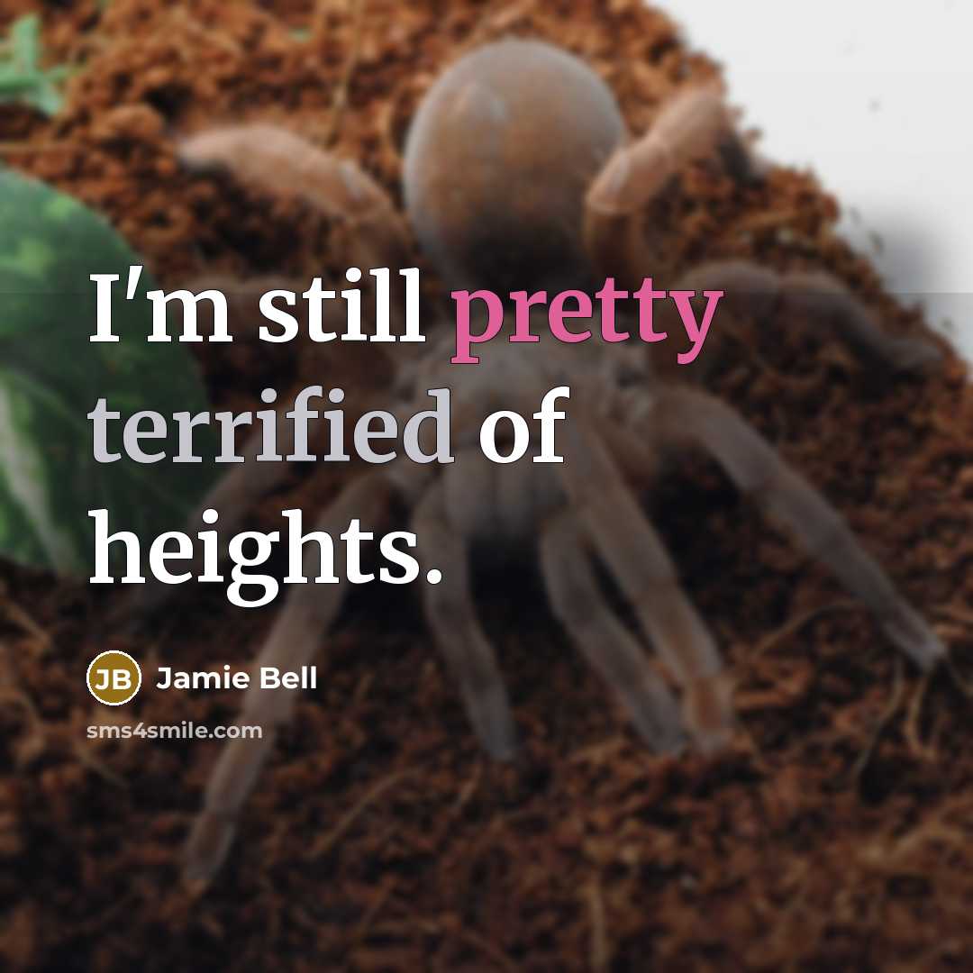 “I'm still pretty terrified of heights.” quote by Jamie Bell