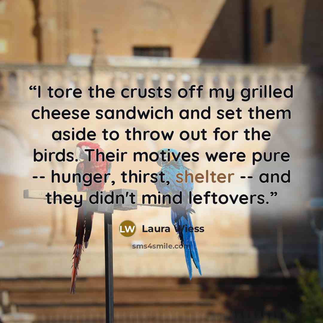“I tore the crusts off my grilled cheese sandwich and set them aside to throw out for the birds. Their motives were pure -- hunger, thirst, shelter -- and they didn't mind leftovers.” quote by Laura Wiess