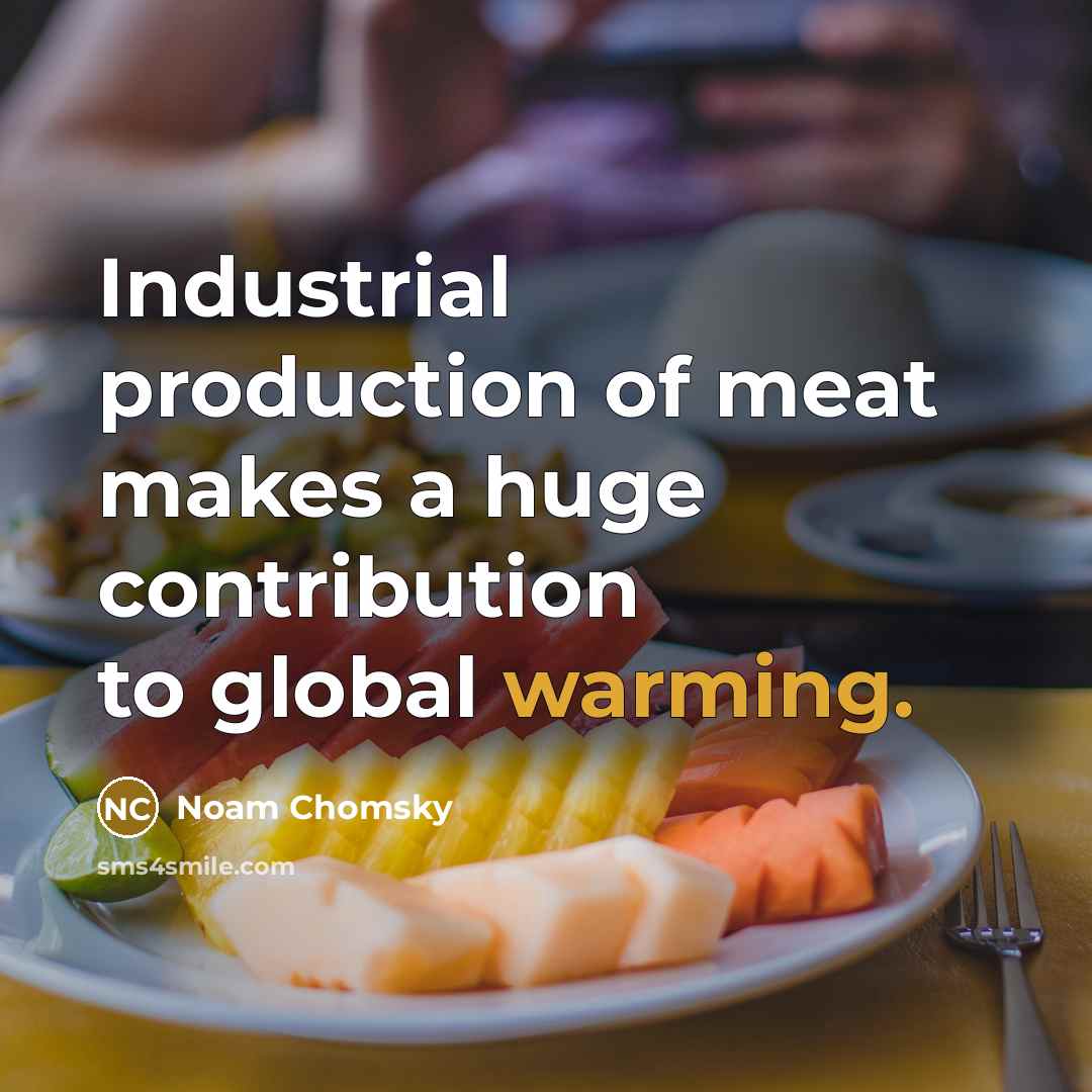 “Industrial production of meat makes a huge contribution to global warming.” quote by Noam Chomsky