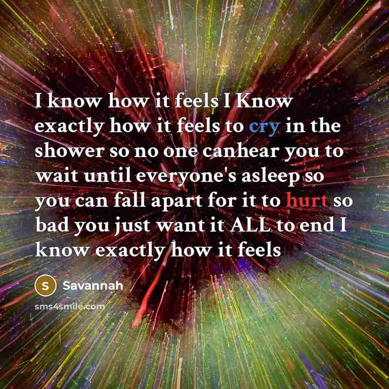 “I know how it feels I Know exactly how it feels to cry in the shower so no one canhear you to wait until everyone's asleep so you can fall apart for it to hurt so bad you just want it ALL to end I know exactly how it feels” quote by Savannah