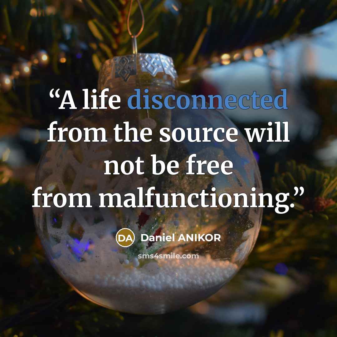 “A life disconnected from the source will not be free from malfunctioning.” quote by Daniel ANIKOR
