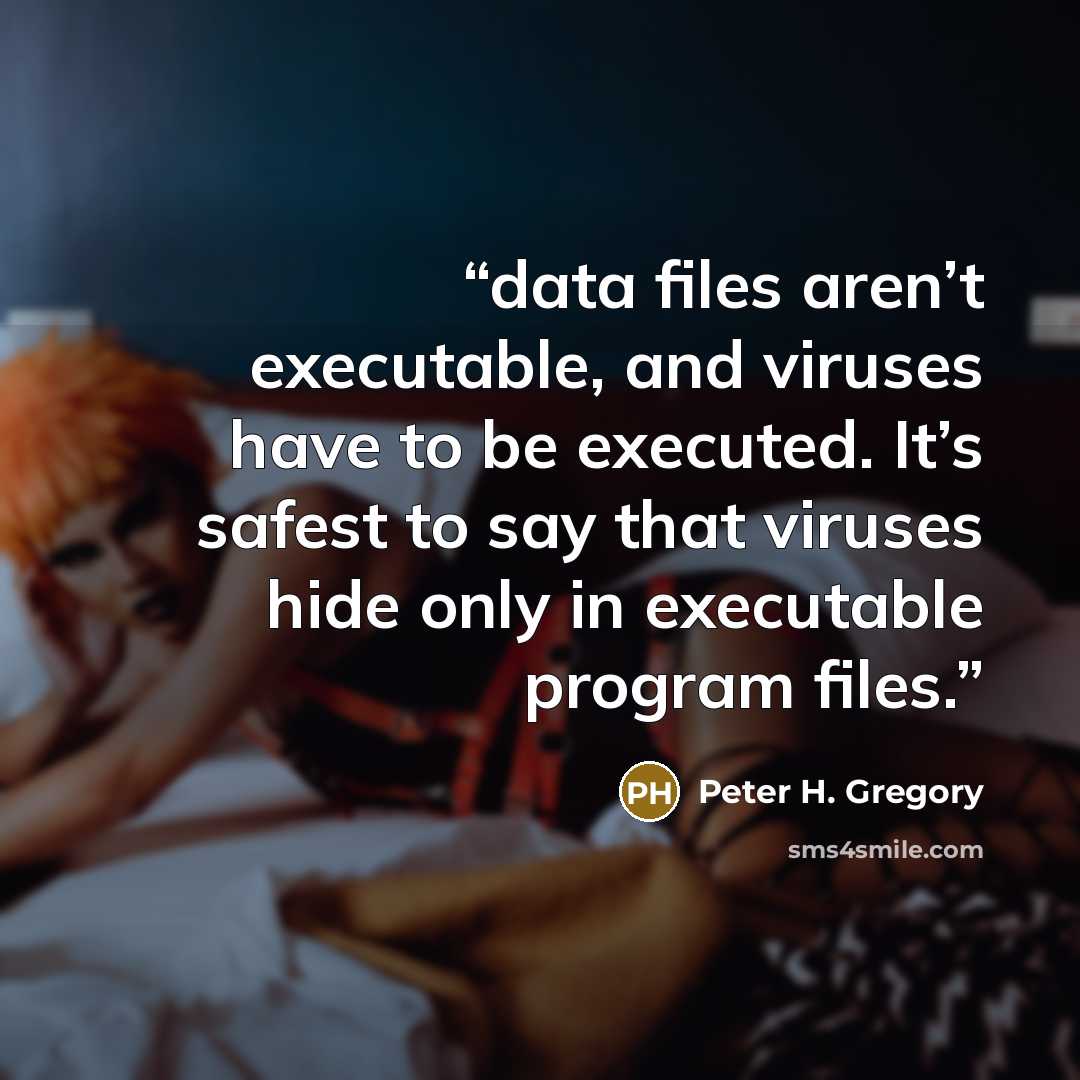 “data files aren’t executable, and viruses have to be executed. It’s safest to say that viruses hide only in executable program files.” quote by Peter H. Gregory