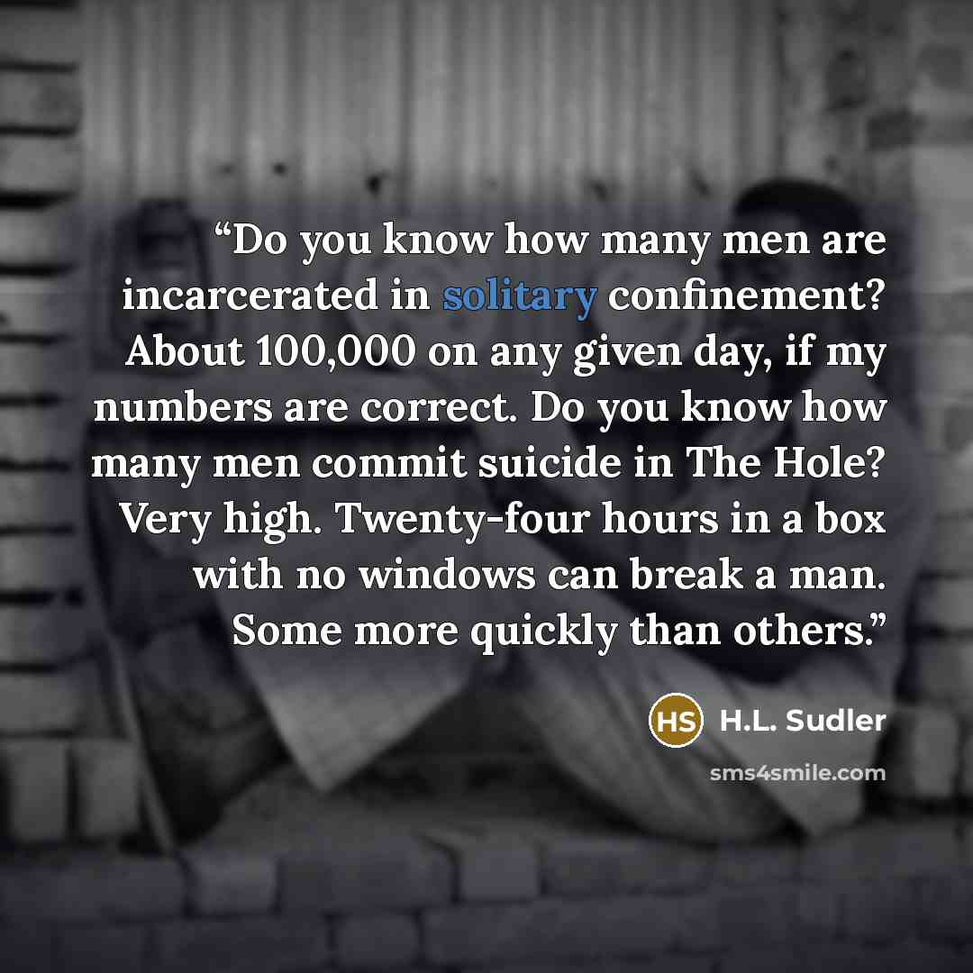 “Do you know how many men are incarcerated in solitary confinement? About 100,000 on any given day, if my numbers are correct. Do you know how many men commit suicide in The Hole? Very high. Twenty-four hours in a box with no windows can break a man. Some more quickly than others.” quote by H.L. Sudler