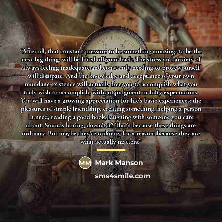 “After all, that constant pressure to be something amazing, to be the next big thing, will be lifted off your back. The stress and anxiety of always feeling inadequate and constantly needing to prove yourself will dissipate. And the knowledge and acceptance of your own mundane existence will…” quote by Mark Manson