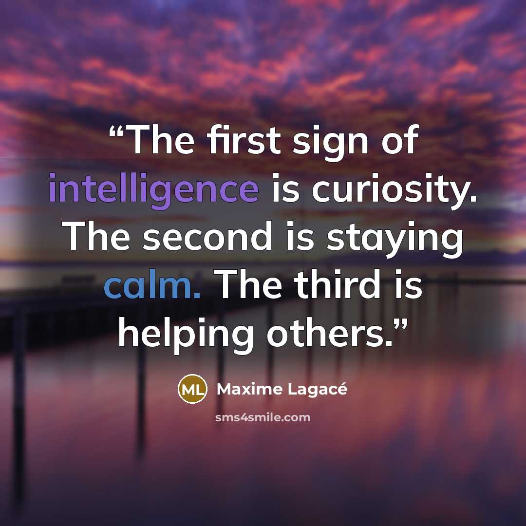 “The first sign of intelligence is curiosity. The second is staying calm. The third is helping others.” quote by Maxime Lagacé