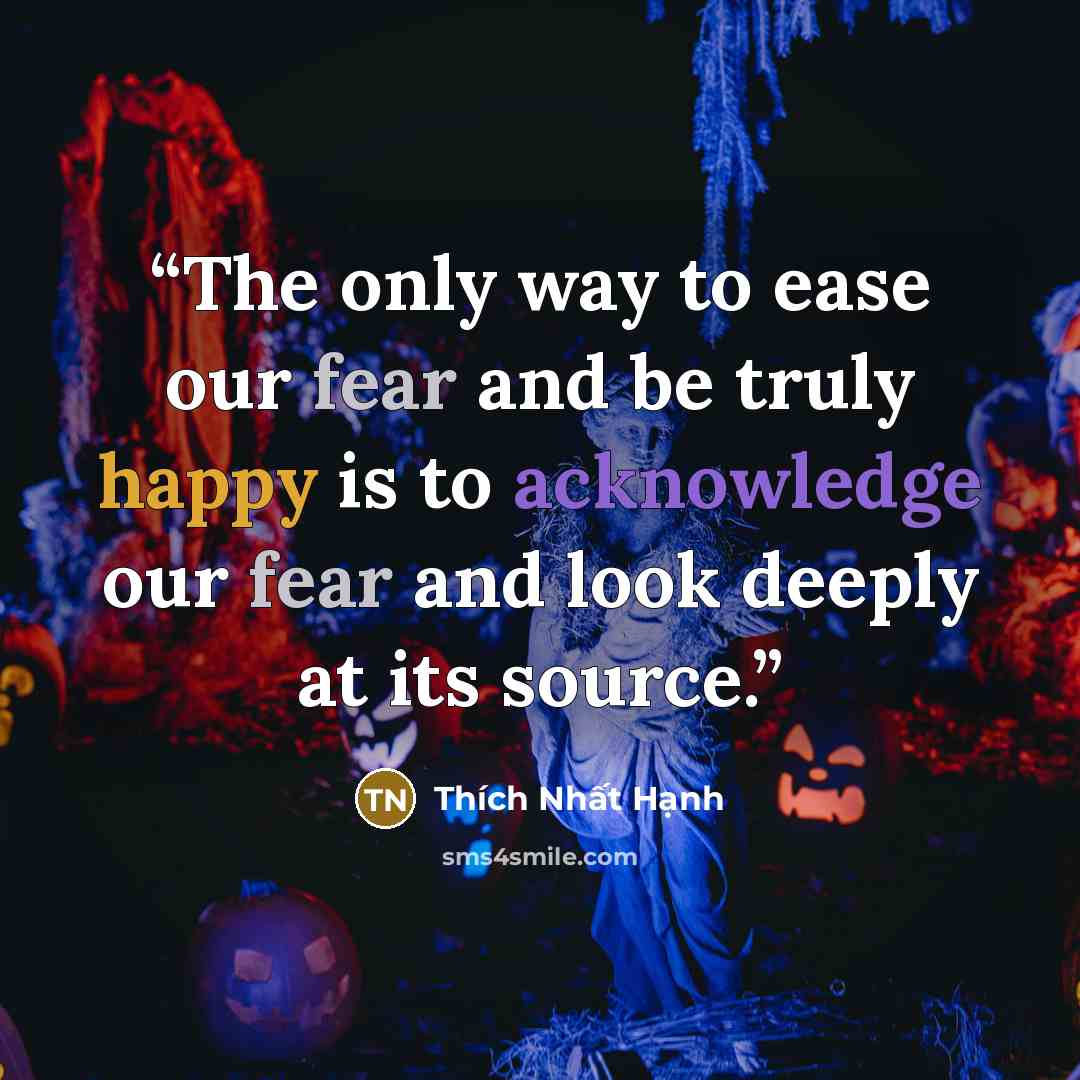 “The only way to ease our fear and be truly happy is to acknowledge our fear and look deeply at its source.” quote by Thich Nhat Hanh
