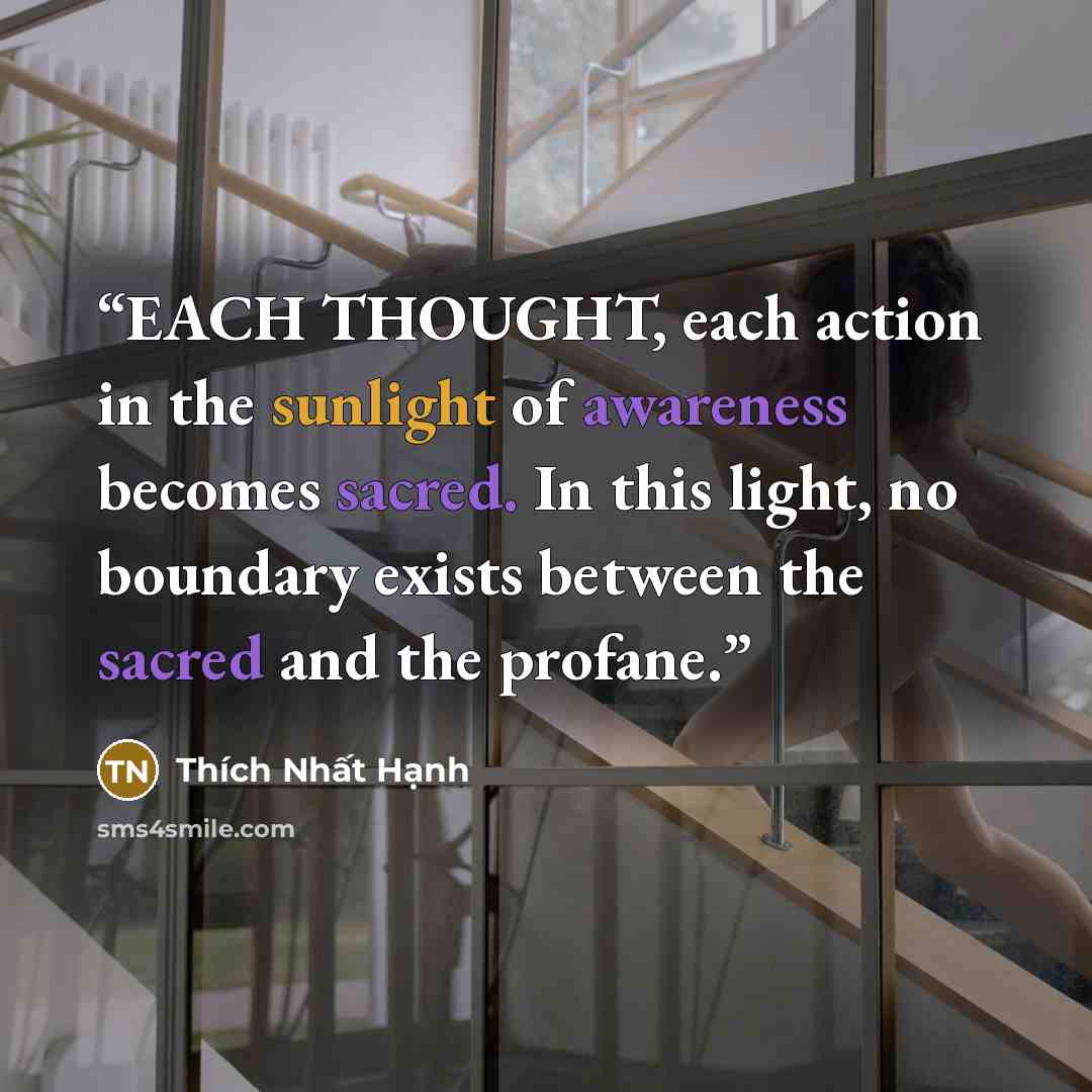 “EACH THOUGHT, each action in the sunlight of awareness becomes sacred. In this light, no boundary exists between the sacred and the profane.” quote by Thich Nhat Hanh