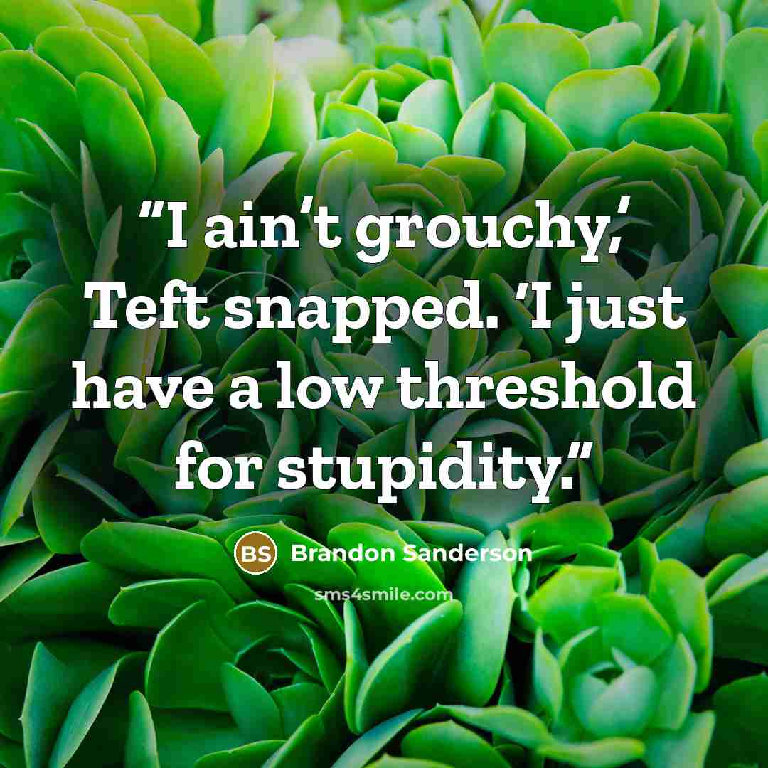 “I ain’t grouchy,’ Teft snapped. ‘I just have a low threshold for stupidity.” quote by Brandon Sanderson