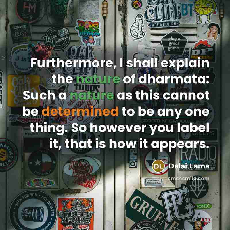 “Furthermore, I shall explain the nature of dharmata: Such a nature as this cannot be determined to be any one thing. So however you label it, that is how it appears.” quote by Dalai Lama
