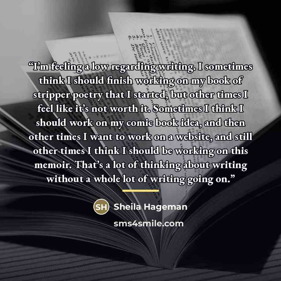 “I’m feeling a low regarding writing. I sometimes think I should finish working on my book of stripper poetry that I started, but other times I feel like it’s not worth it. Sometimes I think I should work on my comic book idea, and then other times I want to work on a website, and still other times…” quote by Sheila Hageman