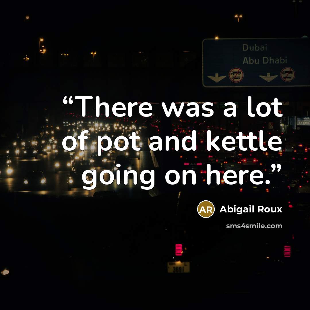 “There was a lot of pot and kettle going on here.” quote by Abigail Roux