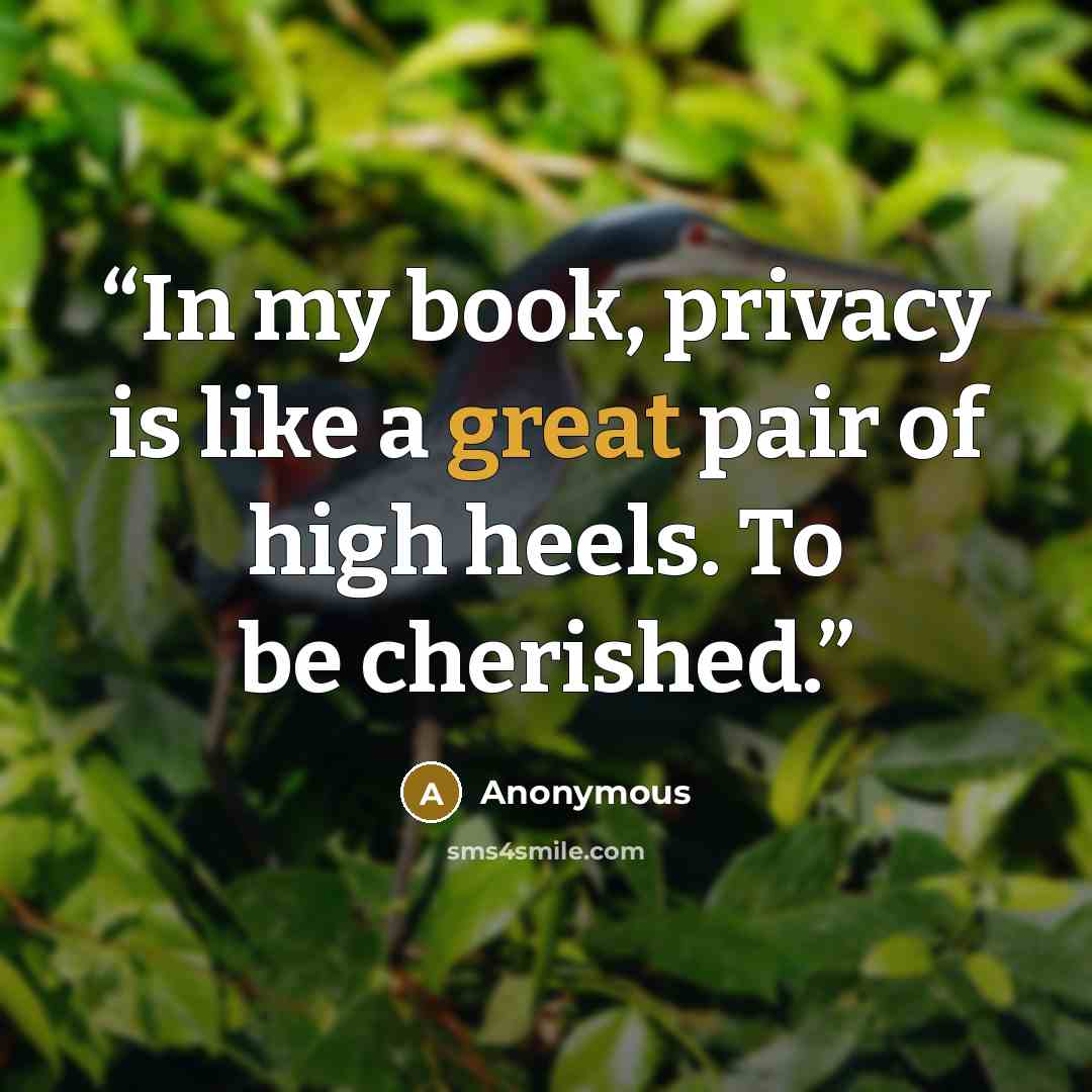 “In my book, privacy is like a great pair of high heels. To be cherished.” quote by Anonymous