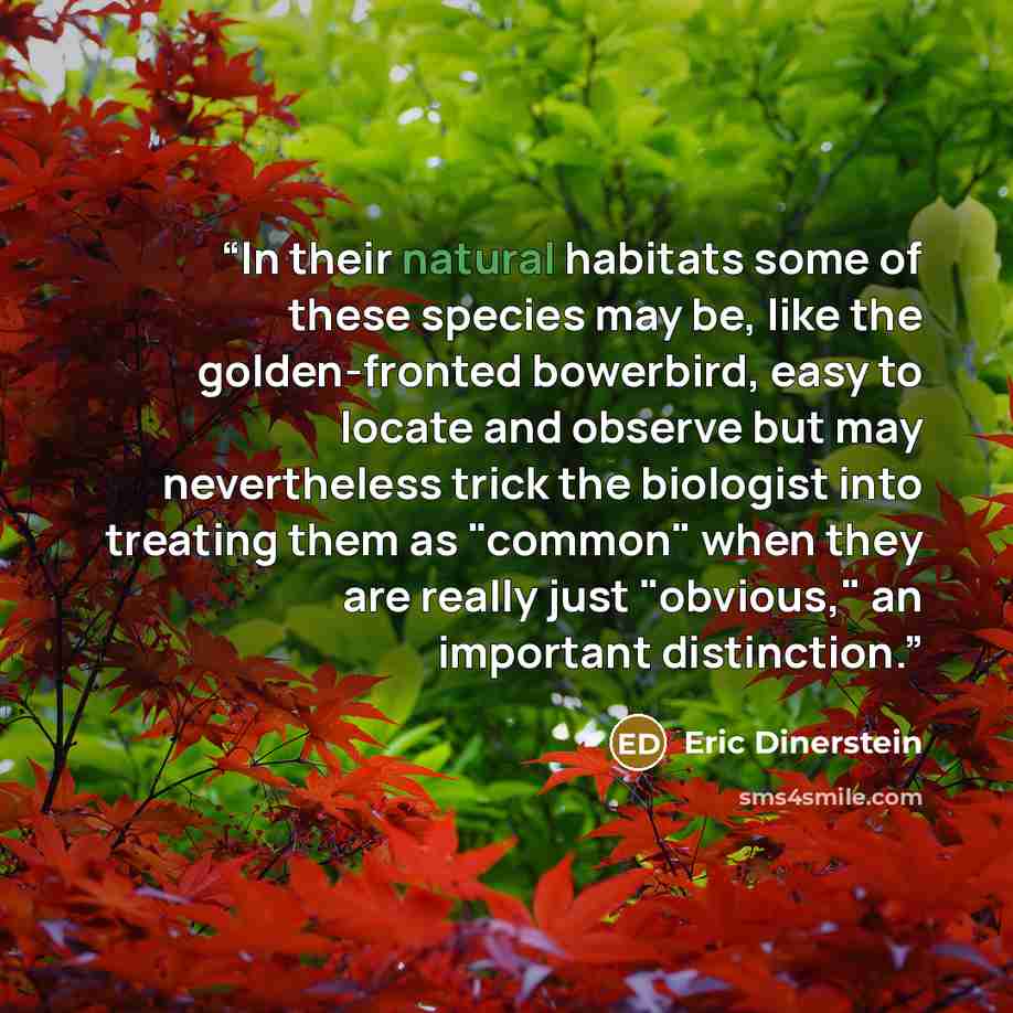 “In their natural habitats some of these species may be, like the golden-fronted bowerbird, easy to locate and observe but may nevertheless trick the biologist into treating them as "common" when they are really just "obvious," an important distinction.” quote by Eric Dinerstein