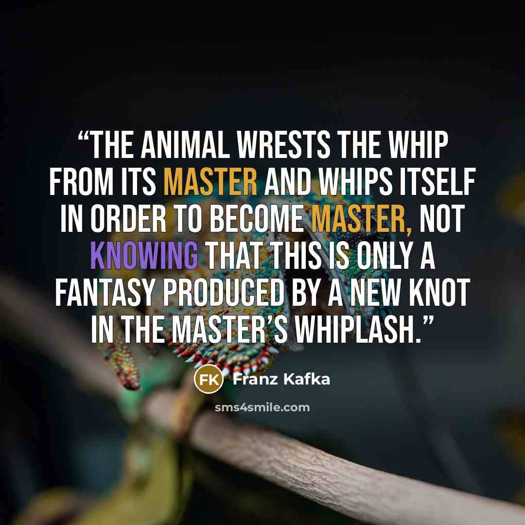 “The animal wrests the whip from its master and whips itself in order to become master, not knowing that this is only a fantasy produced by a new knot in the master’s whiplash.” quote by Franz Kafka