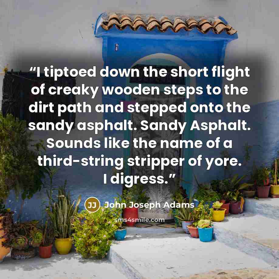 “I tiptoed down the short flight of creaky wooden steps to the dirt path and stepped onto the sandy asphalt. Sandy Asphalt. Sounds like the name of a third-string stripper of yore. I digress.” quote by John Joseph Adams
