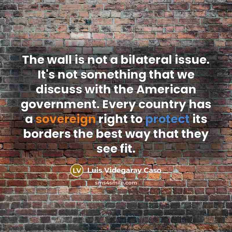 “The wall is not a bilateral issue. It's not something that we discuss with the American government. Every country has a sovereign right to protect its borders the best way that they see fit.” quote by Luis Videgaray Caso