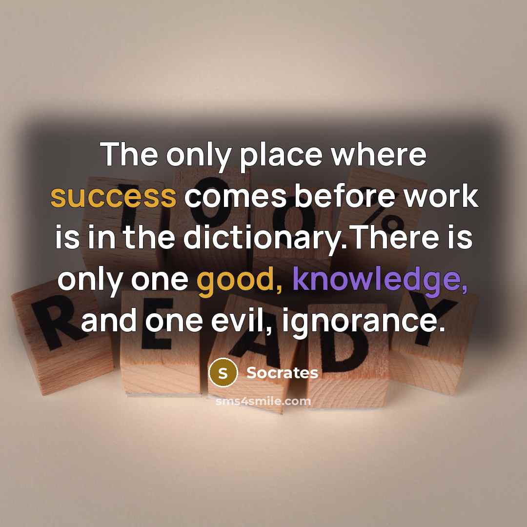 “The only place where success comes before work is in the dictionary.There is only one good, knowledge, and one evil, ignorance.” quote by Socrates