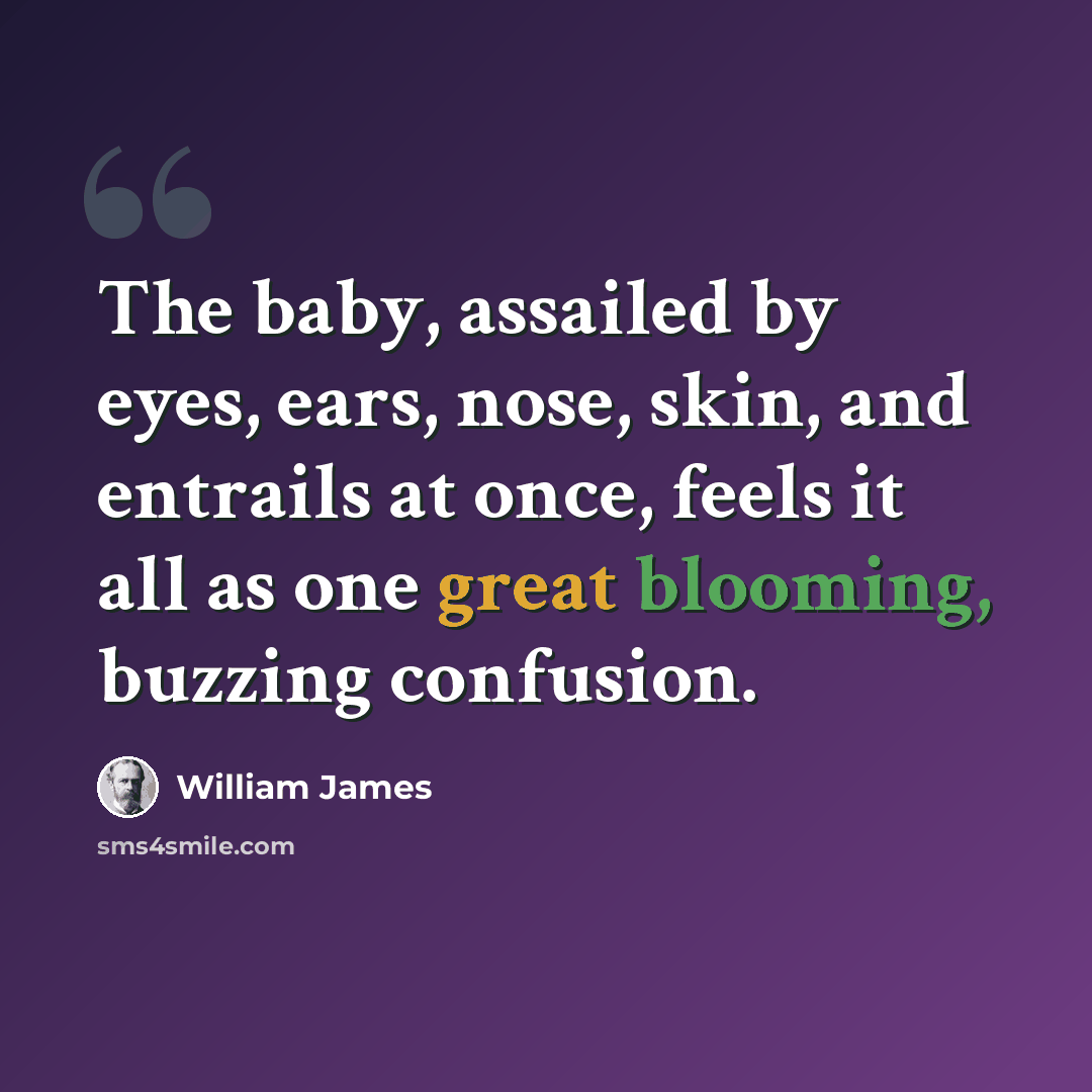 “The baby, assailed by eyes, ears, nose, skin, and entrails at once, feels it all as one great blooming, buzzing confusion.” quote by William James