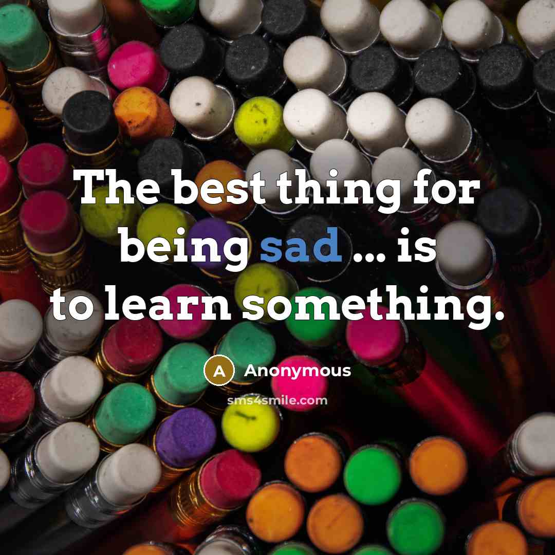 “The best thing for being sad ... is to learn something.” quote by Anonymous