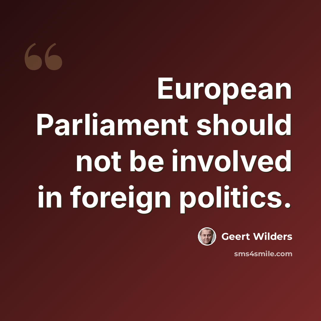 “European Parliament should not be involved in foreign politics.” quote by Geert Wilders