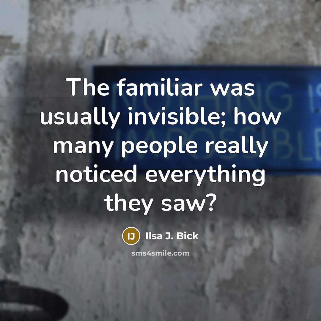 “The familiar was usually invisible; how many people really noticed everything they saw?” quote by Ilsa J. Bick