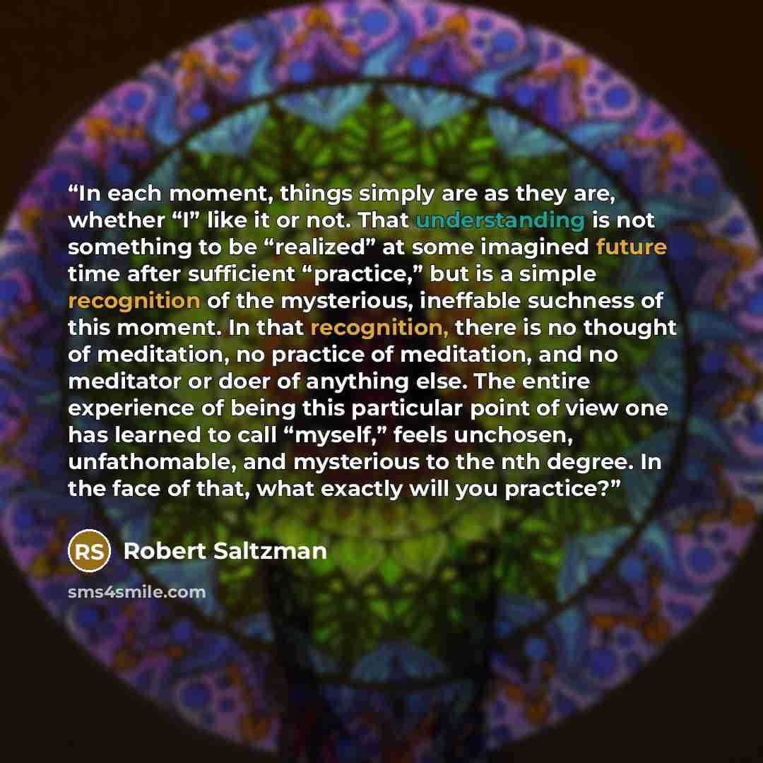 “In each moment, things simply are as they are, whether “I” like it or not. That understanding is not something to be “realized” at some imagined future time after sufficient “practice,” but is a simple recognition of the mysterious, ineffable suchness of this moment. In that recognition, there is…” quote by Robert Saltzman